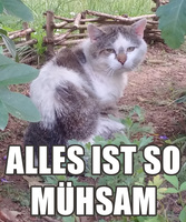 Pfostenbild