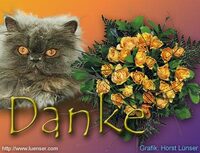 Pfostenbild