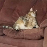 Pfostenbild