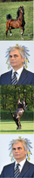 Pfostenbild