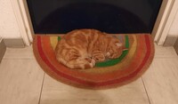 Pfostenbild