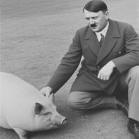 Pfostenbild