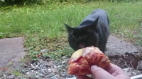 Pfostenbild